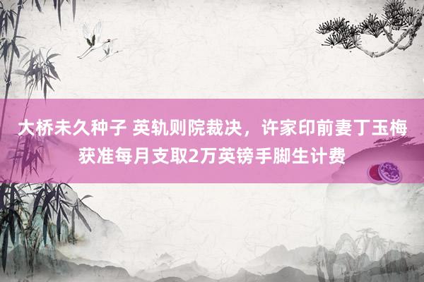 大桥未久种子 英轨则院裁决，许家印前妻丁玉梅获准每月支取2万英镑手脚生计费