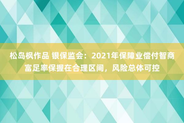 松岛枫作品 银保监会：2021年保障业偿付智商富足率保握在合理区间，风险总体可控