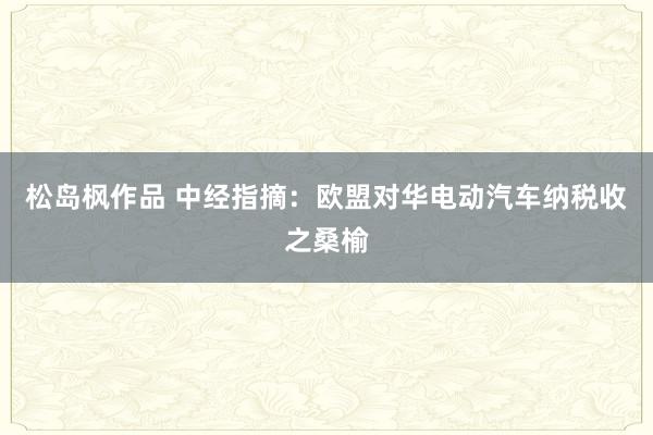 松岛枫作品 中经指摘：欧盟对华电动汽车纳税收之桑榆