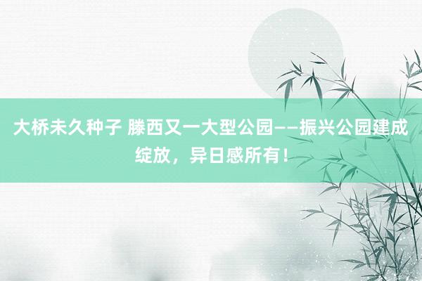 大桥未久种子 滕西又一大型公园——振兴公园建成绽放,异日感所有!