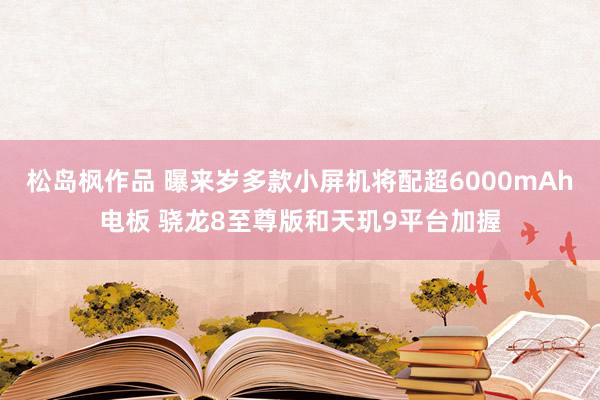 松岛枫作品 曝来岁多款小屏机将配超6000mAh电板 骁龙8至尊版和天玑9平台加握