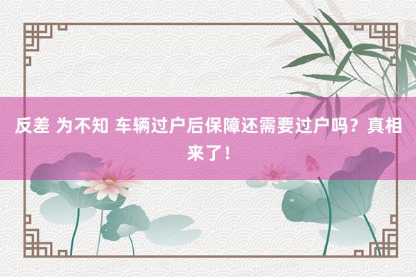 反差 为不知 车辆过户后保障还需要过户吗？真相来了！