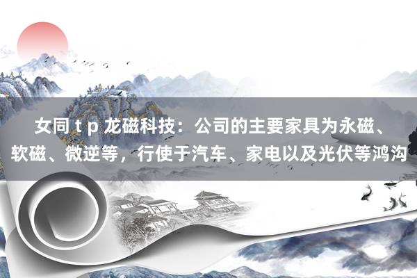 女同 t p 龙磁科技：公司的主要家具为永磁、软磁、微逆等，行使于汽车、家电以及光伏等鸿沟