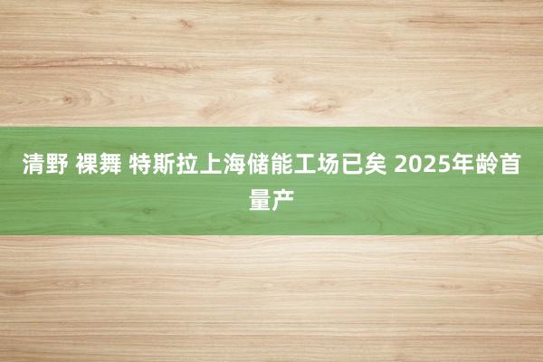 清野 裸舞 特斯拉上海储能工场已矣 2025年龄首量产