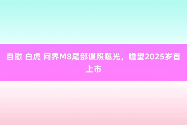 自慰 白虎 问界M8尾部谍照曝光，瞻望2025岁首上市