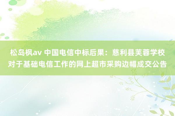 松岛枫av 中国电信中标后果：慈利县芙蓉学校对于基础电信工作的网上超市采购边幅成交公告
