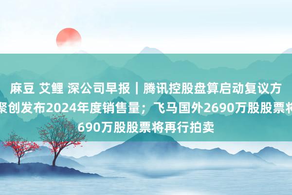 麻豆 艾鲤 深公司早报｜腾讯控股盘算启动复议方法；速腾聚创发布2024年度销售量；飞马国外2690万股股票将再行拍卖