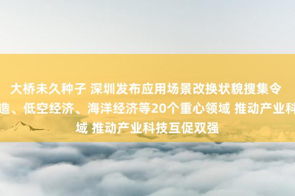 大桥未久种子 深圳发布应用场景改换状貌搜集令 遁入智能制造、低空经济、海洋经济等20个重心领域 推动产业科技互促双强