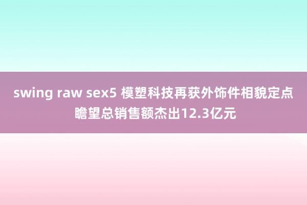 swing raw sex5 模塑科技再获外饰件相貌定点 瞻望总销售额杰出12.3亿元