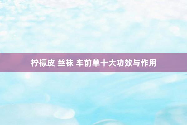 柠檬皮 丝袜 车前草十大功效与作用