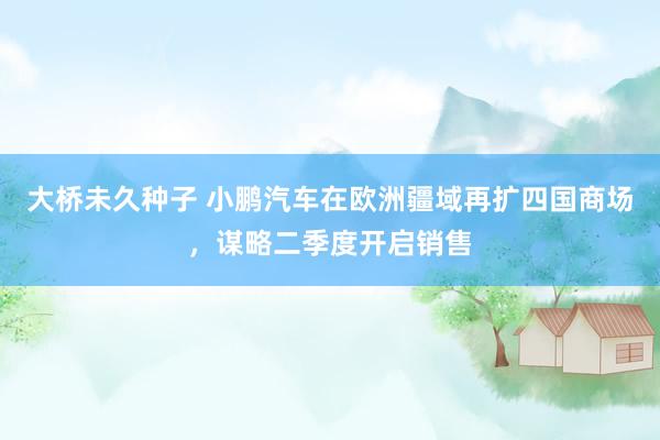 大桥未久种子 小鹏汽车在欧洲疆域再扩四国商场，谋略二季度开启销售