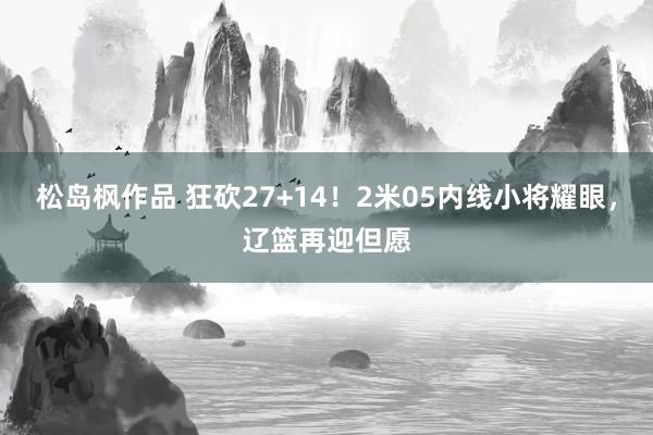 松岛枫作品 狂砍27+14！2米05内线小将耀眼，辽篮再迎但愿