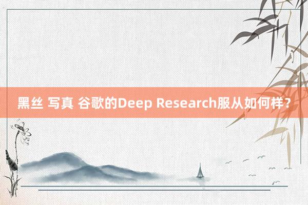 黑丝 写真 谷歌的Deep Research服从如何样？