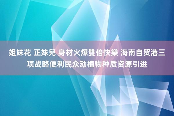 姐妹花 正妹兒 身材火爆雙倍快樂 海南自贸港三项战略便利民众动植物种质资源引进