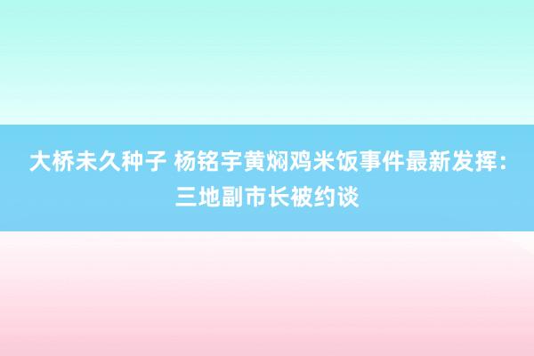 大桥未久种子 杨铭宇黄焖鸡米饭事件最新发挥：三地副市长被约谈