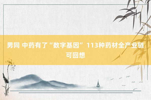 男同 中药有了“数字基因” 113种药材全产业链可回想