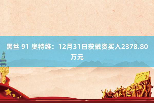 黑丝 91 奥特维：12月31日获融资买入2378.80万元