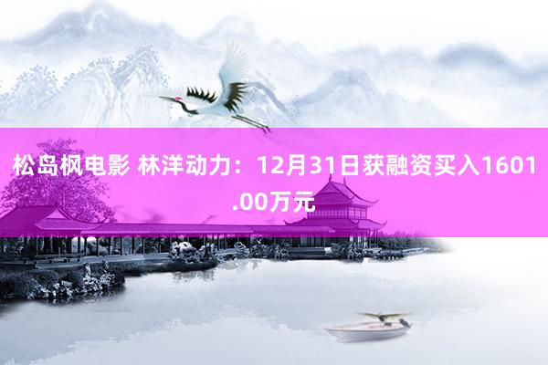 松岛枫电影 林洋动力：12月31日获融资买入1601.00万元