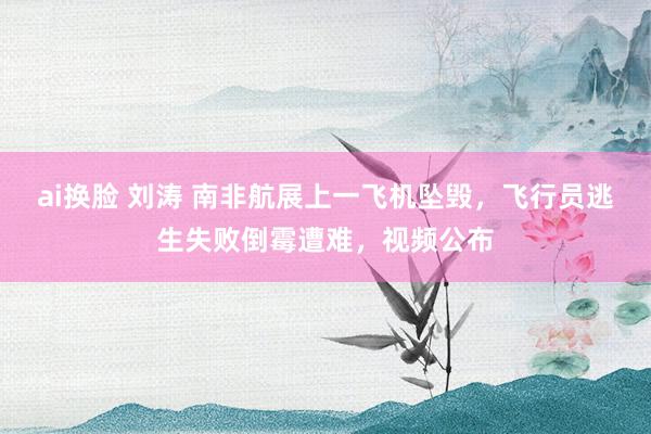 ai换脸 刘涛 南非航展上一飞机坠毁，飞行员逃生失败倒霉遭难，视频公布