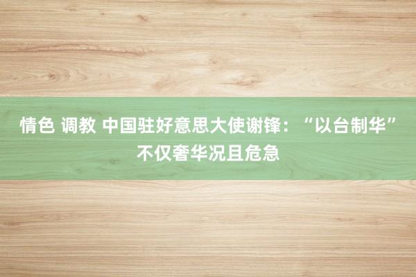 情色 调教 中国驻好意思大使谢锋：“以台制华”不仅奢华况且危急