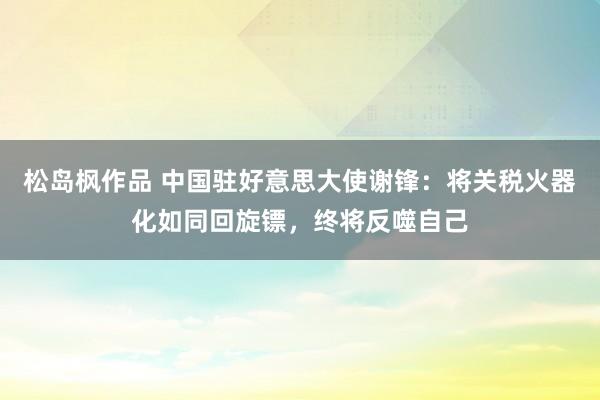 松岛枫作品 中国驻好意思大使谢锋：将关税火器化如同回旋镖，终将反噬自己