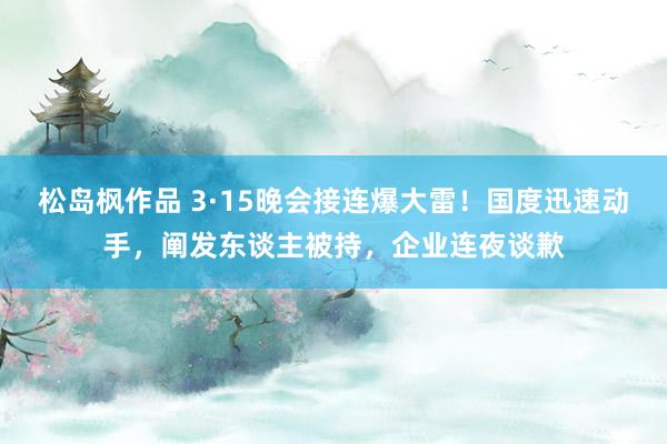松岛枫作品 3·15晚会接连爆大雷！国度迅速动手，阐发东谈主被持，企业连夜谈歉