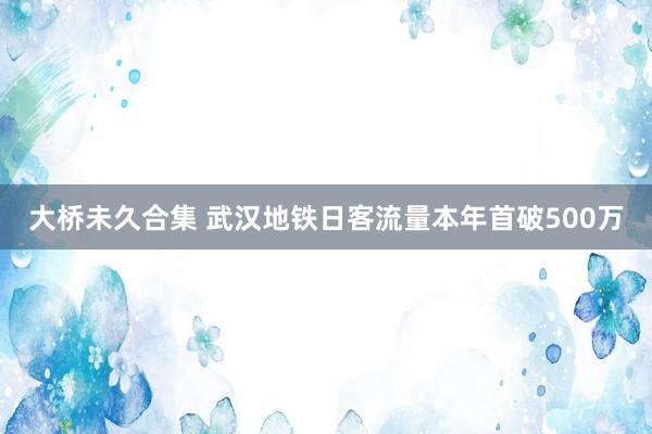 大桥未久合集 武汉地铁日客流量本年首破500万