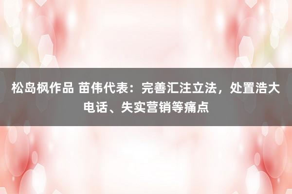 松岛枫作品 苗伟代表：完善汇注立法，处置浩大电话、失实营销等痛点