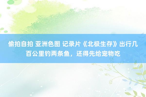 偷拍自拍 亚洲色图 记录片《北极生存》出行几百公里钓两条鱼,还得先给宠物吃