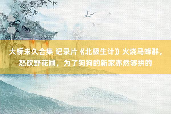 大桥未久合集 记录片《北极生计》火烧马蜂群，怒砍野花圃，为了狗狗的新家亦然够拼的