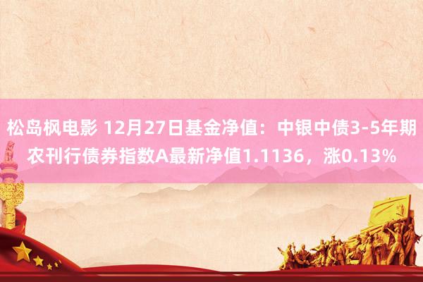 松岛枫电影 12月27日基金净值：中银中债3-5年期农刊行债券指数A最新净值1.1136，涨0.13%