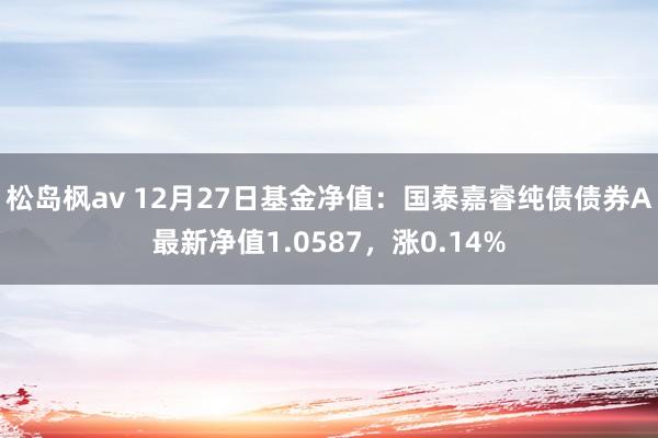 松岛枫av 12月27日基金净值：国泰嘉睿纯债债券A最新净值1.0587，涨0.14%