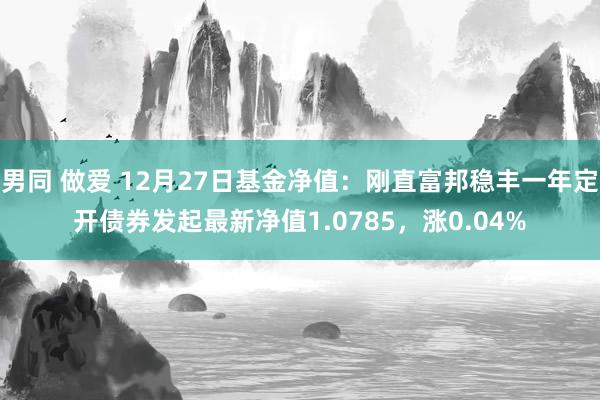 男同 做爱 12月27日基金净值：刚直富邦稳丰一年定开债券发起最新净值1.0785，涨0.04%