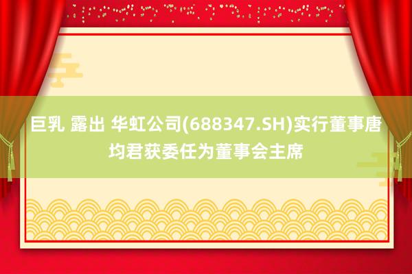 巨乳 露出 华虹公司(688347.SH)实行董事唐均君获委任为董事会主席