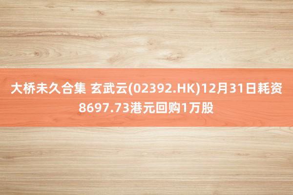 大桥未久合集 玄武云(02392.HK)12月31日耗资8697.73港元回购1万股