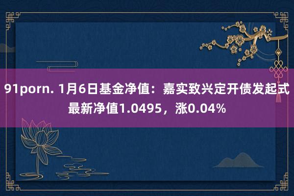 91porn. 1月6日基金净值：嘉实致兴定开债发起式最新净值1.0495，涨0.04%
