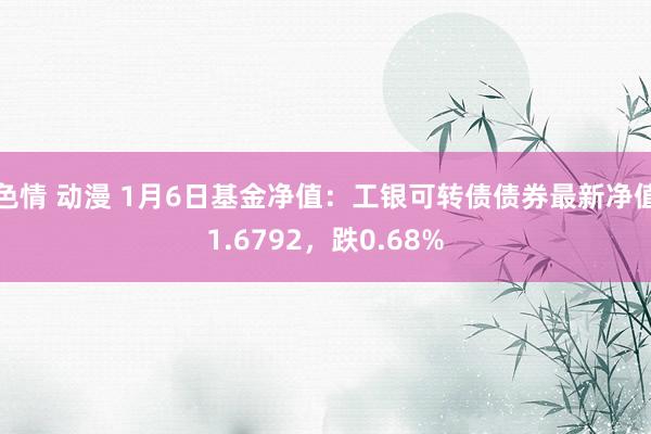 色情 动漫 1月6日基金净值：工银可转债债券最新净值1.6792，跌0.68%