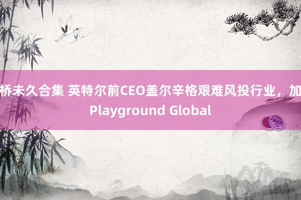 大桥未久合集 英特尔前CEO盖尔辛格艰难风投行业，加入Playground Global