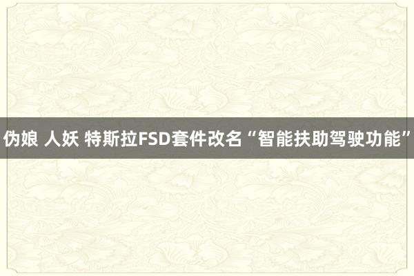 伪娘 人妖 特斯拉FSD套件改名“智能扶助驾驶功能”
