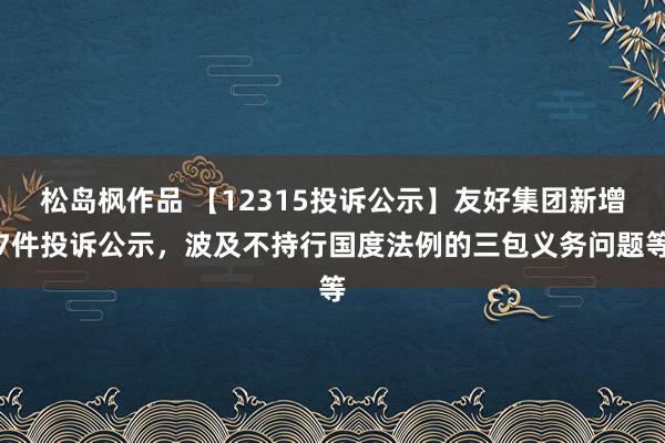 松岛枫作品 【12315投诉公示】友好集团新增7件投诉公示，波及不持行国度法例的三包义务问题等