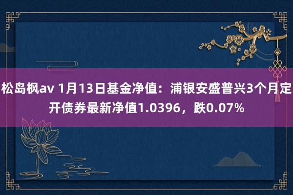 松岛枫av 1月13日基金净值：浦银安盛普兴3个月定开债券最新净值1.0396，跌0.07%
