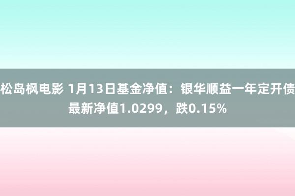 松岛枫电影 1月13日基金净值：银华顺益一年定开债最新净值1.0299，跌0.15%