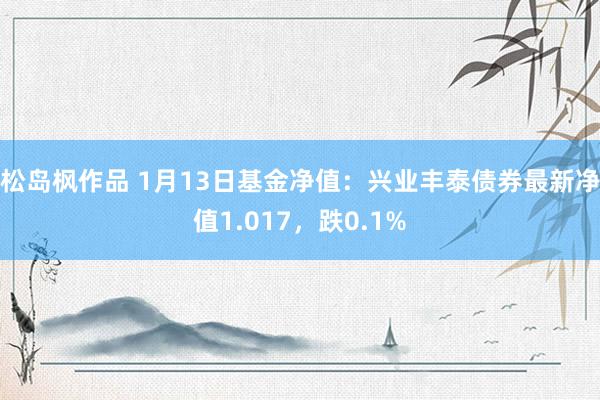 松岛枫作品 1月13日基金净值：兴业丰泰债券最新净值1.017，跌0.1%