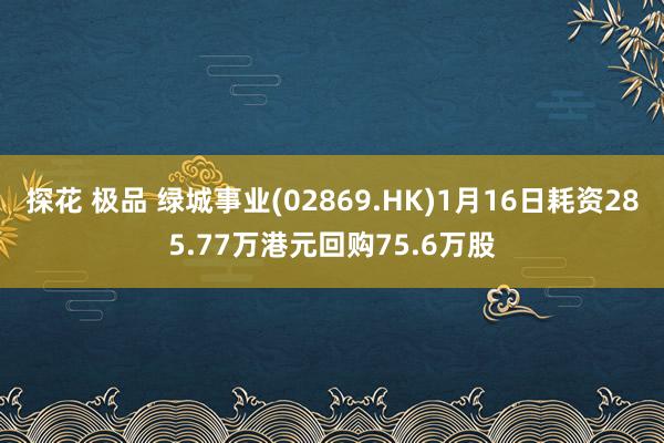 探花 极品 绿城事业(02869.HK)1月16日耗资285.77万港元回购75.6万股