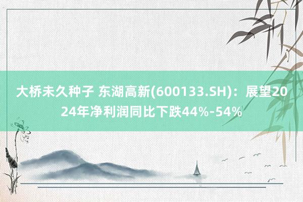 大桥未久种子 东湖高新(600133.SH)：展望2024年净利润同比下跌44%-54%