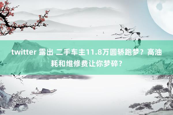 twitter 露出 二手车主11.8万圆轿跑梦？高油耗和维修费让你梦碎？