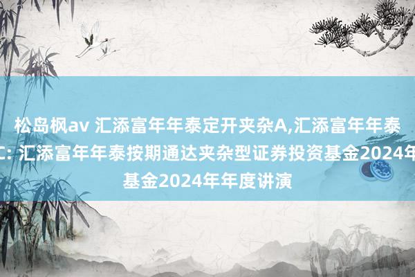 松岛枫av 汇添富年年泰定开夹杂A,汇添富年年泰定开夹杂C: 汇添富年年泰按期通达夹杂型证券投资基金2024年年度讲演
