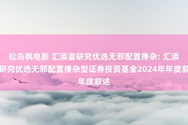 松岛枫电影 汇添富研究优选无邪配置搀杂: 汇添富研究优选无邪配置搀杂型证券投资基金2024年年度叙述