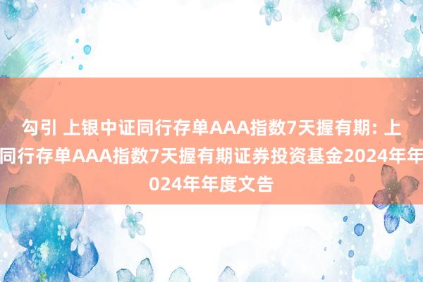 勾引 上银中证同行存单AAA指数7天握有期: 上银中证同行存单AAA指数7天握有期证券投资基金2024年年度文告