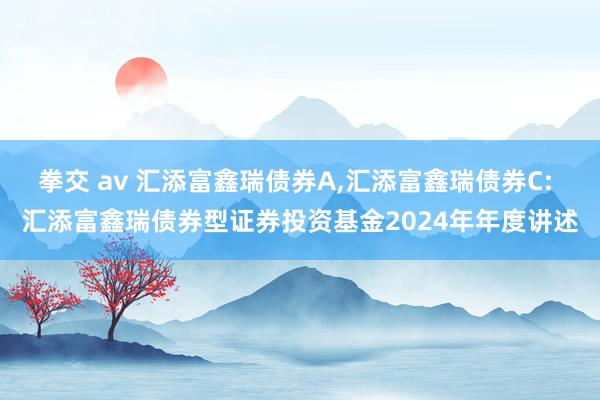拳交 av 汇添富鑫瑞债券A,汇添富鑫瑞债券C: 汇添富鑫瑞债券型证券投资基金2024年年度讲述